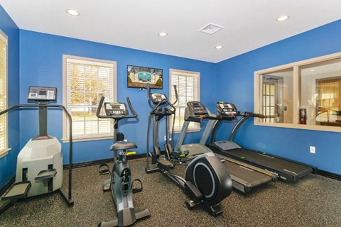 A gym with a blue wall and a treadmill, elliptical trainer, and a stationary bike.