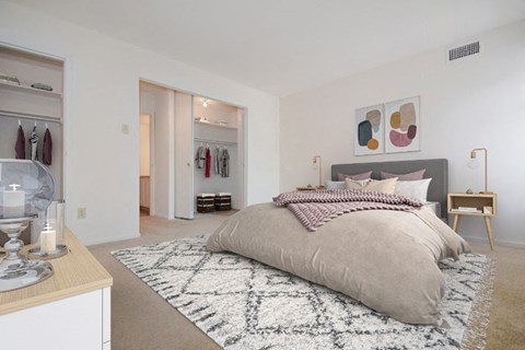 a bedroom with a bed and a closet