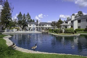 Lakeside Fountain - Photo Gallery 5
