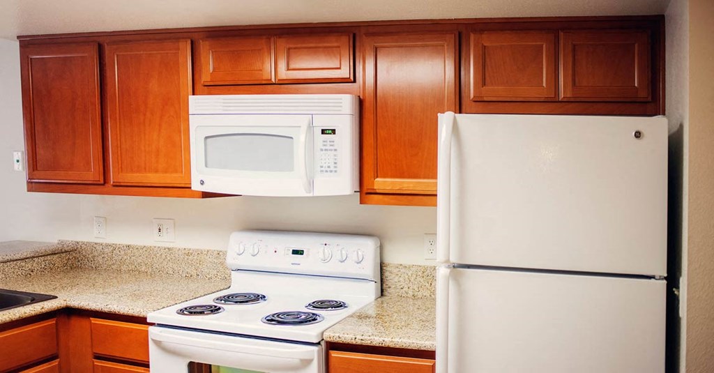 Apartment Home Kitchen