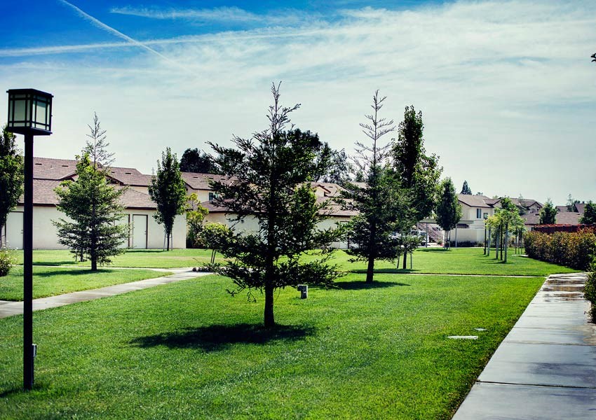 Open Area with Landscaping