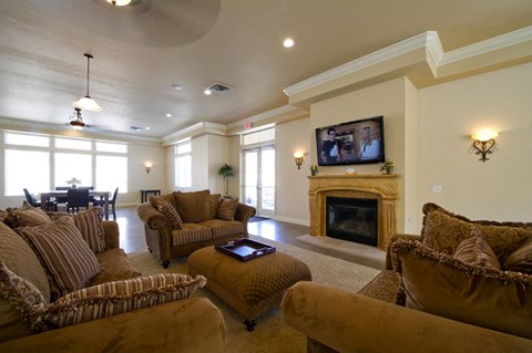 a living room with couches and a fireplace and a television