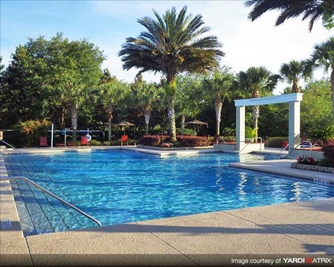 a swimming pool with palm trees and a