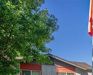 Foxborough Apartments 7795 Antelope Rd Citrus Heights Ca Rentcafe