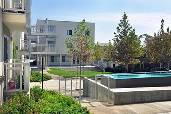 Water feature and landscape - Photo Gallery 4