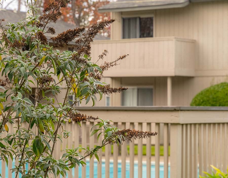 pool and balcony view l Park Club Apts