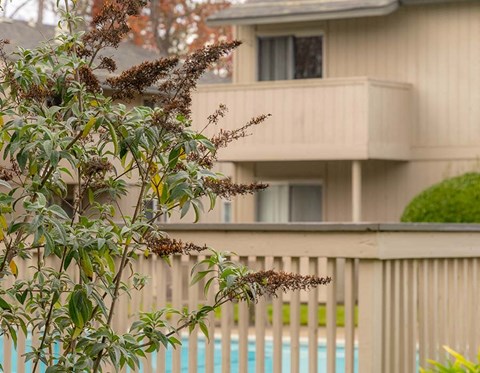 pool and balcony view l Park Club Apts