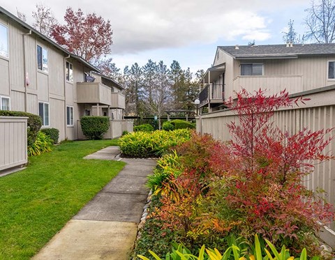 Exterior view of sidewalk through community 