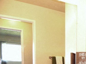 Apartment Davis CA-J Street Bathroom with Large Shower and Ample Counter and Cabinet Space