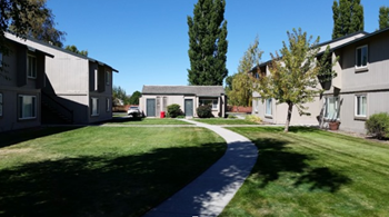 Sidewalk through community with grass