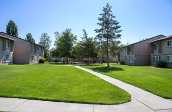 Sidewalk through community with grass