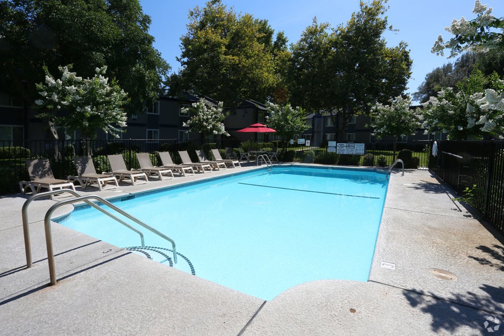 Swimming Pool | Forest Park in Chico, CA