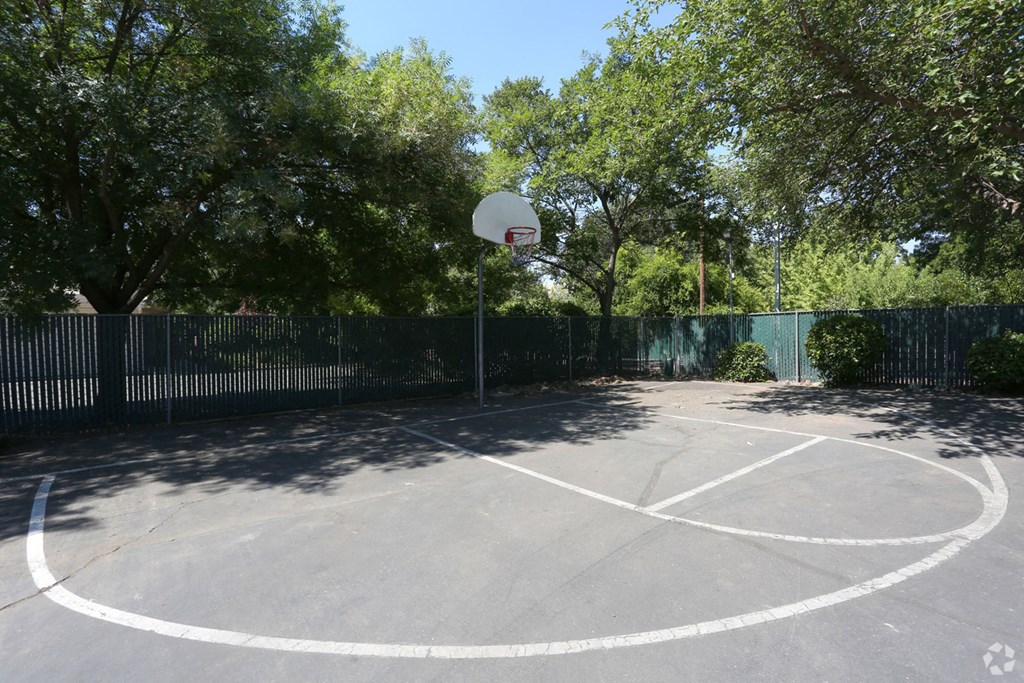 Basketball Court | Forest Park in Chico, CA