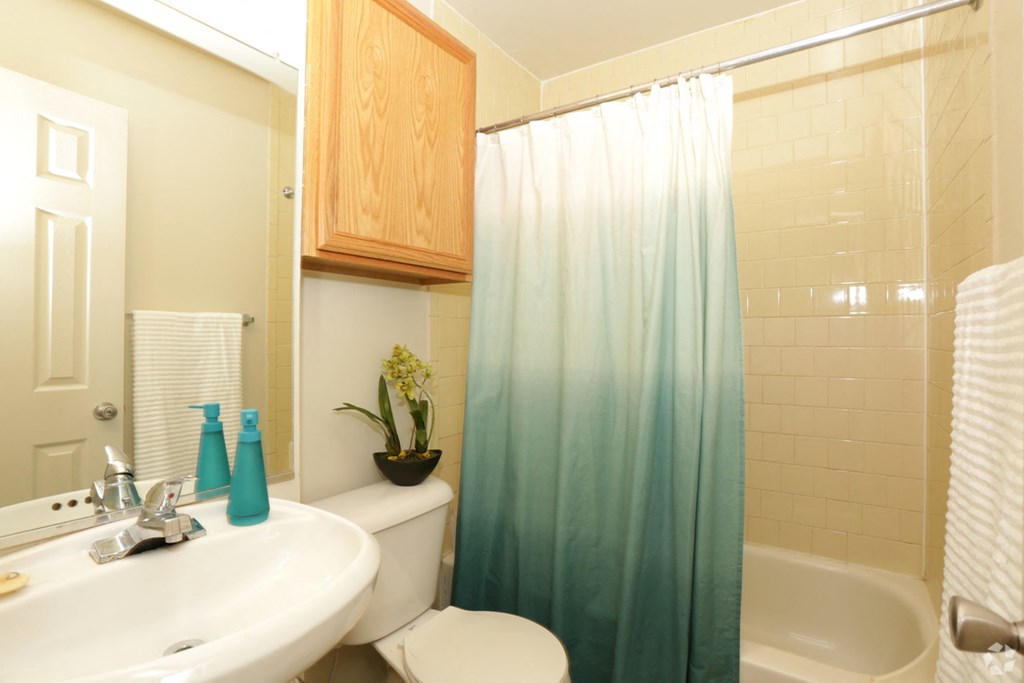 a bathroom with a shower curtain and a sink and a toilet