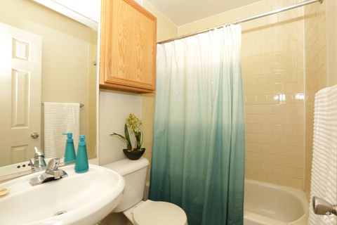 a bathroom with a shower curtain and a sink and a toilet