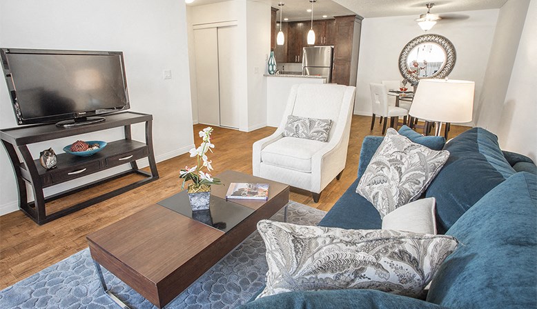 a living room with a couch and a tv