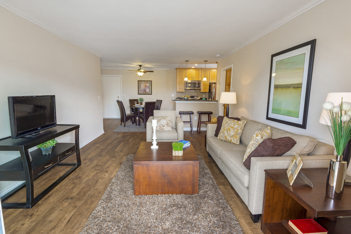 a living room with a couch and a tv