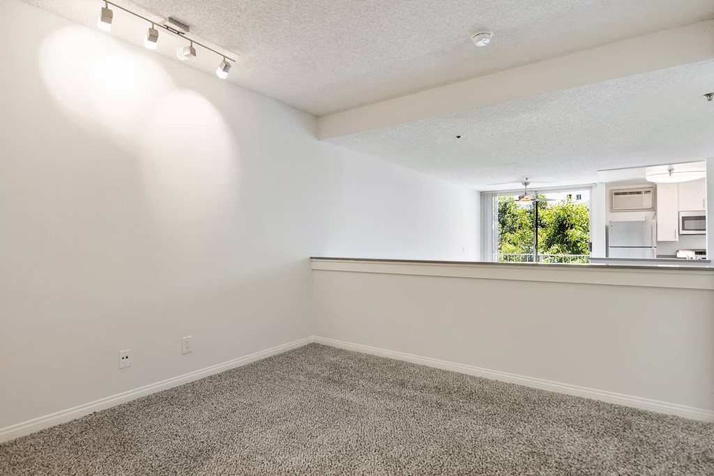 an empty room with a window and a carpeted floor