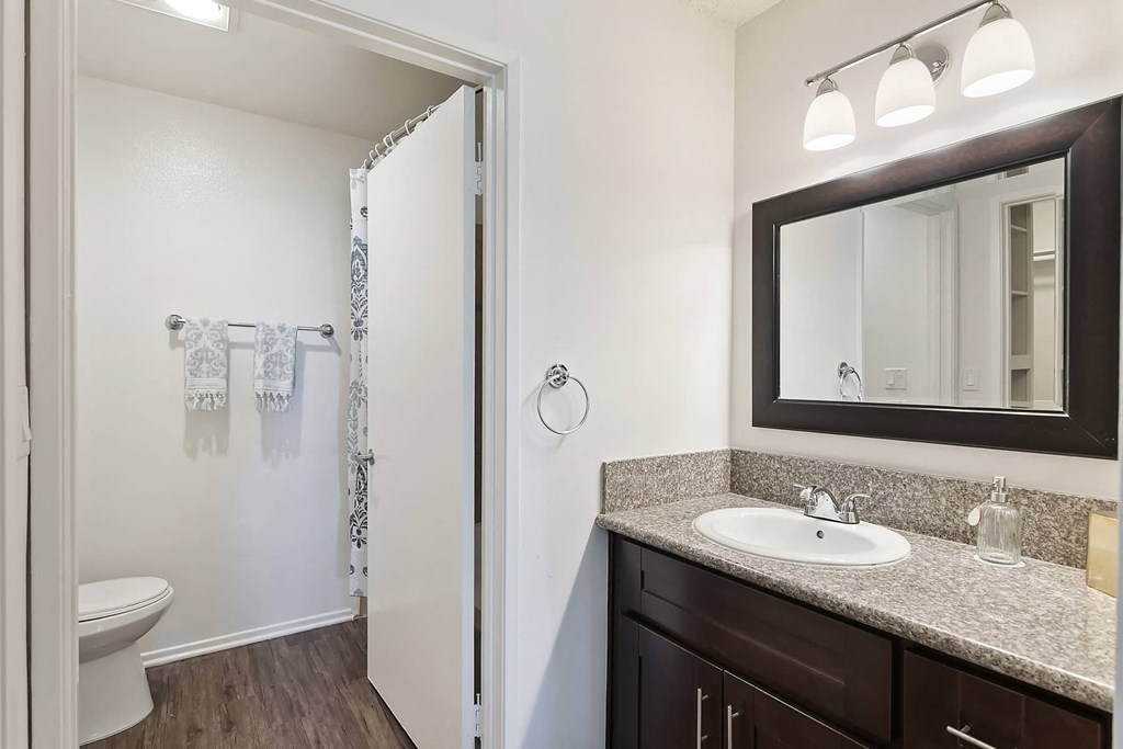 a bathroom with a mirror and a toilet and a sink