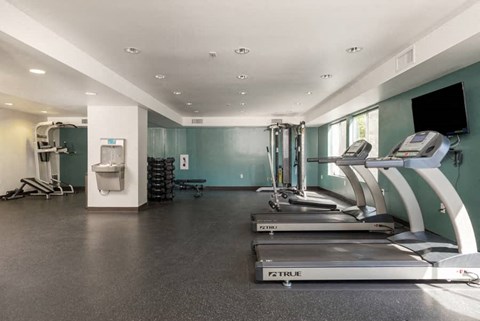 the gym is equipped with cardio equipment and a television