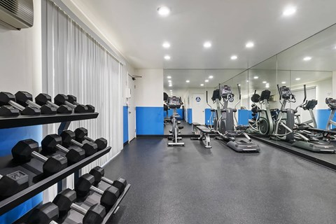 a gym with cardio equipment and weights on the floor