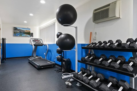 the gym is equipped with weights and cardio equipment