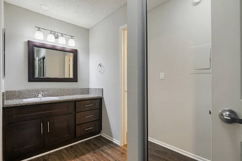 a bathroom with a sink and a mirror