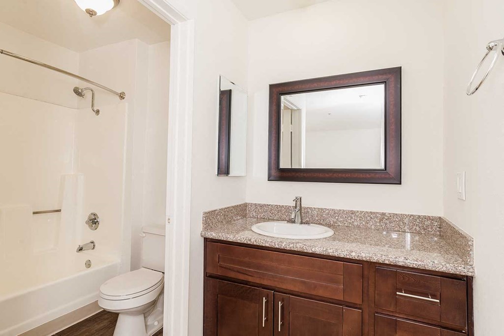a bathroom with a sink and a toilet and a mirror