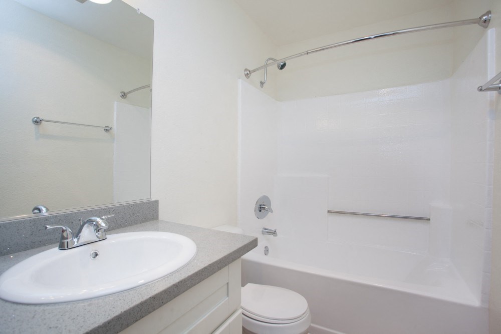 a bathroom with a sink and a shower and a toilet