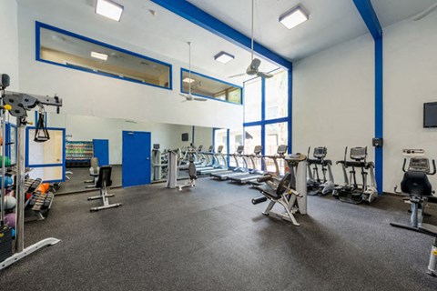a gym with a lot of weights and cardio equipment