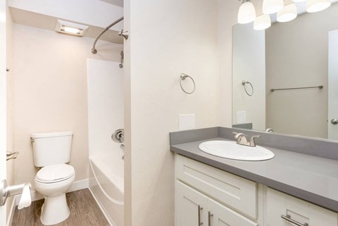 a bathroom with a sink toilet and a mirror