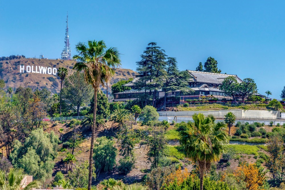 a view of the hollywood sign on a hill with palm trees