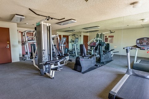 the gym is equipped with cardio equipment and weights