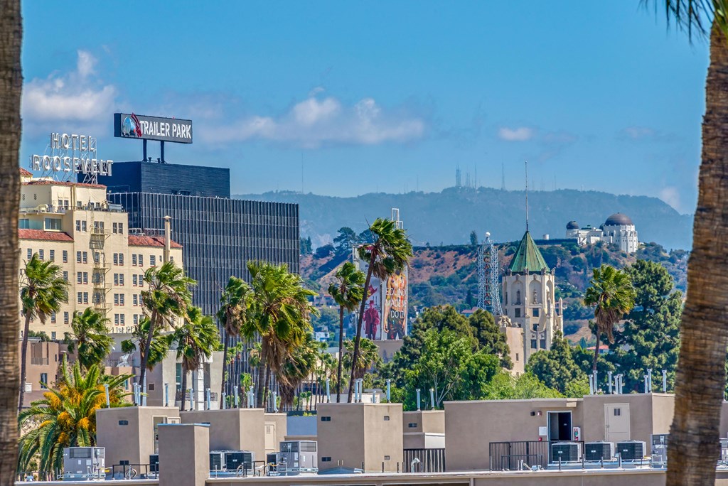 a view of the city with palm trees and buildings