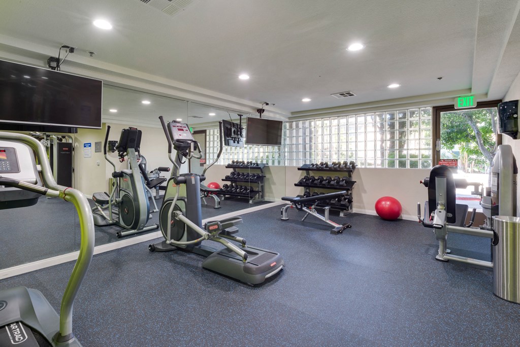 a gym with weights and cardio equipment and a tv