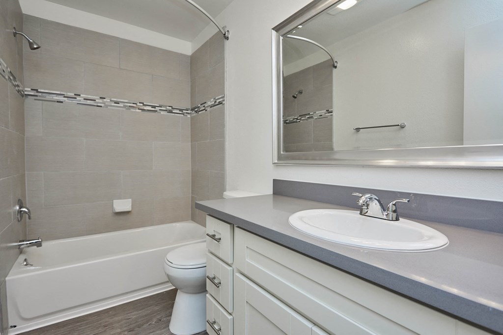 a bathroom with a sink and a toilet and a bath tub