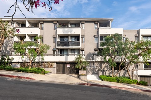 A large apartment building with a tree in front of it.