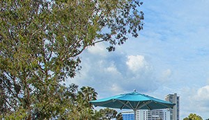 949 North Larrabee St Studio-1 Bed Apartment for Rent - Photo Gallery 5