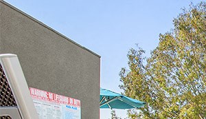 949 North Larrabee St Studio-1 Bed Apartment for Rent - Photo Gallery 2