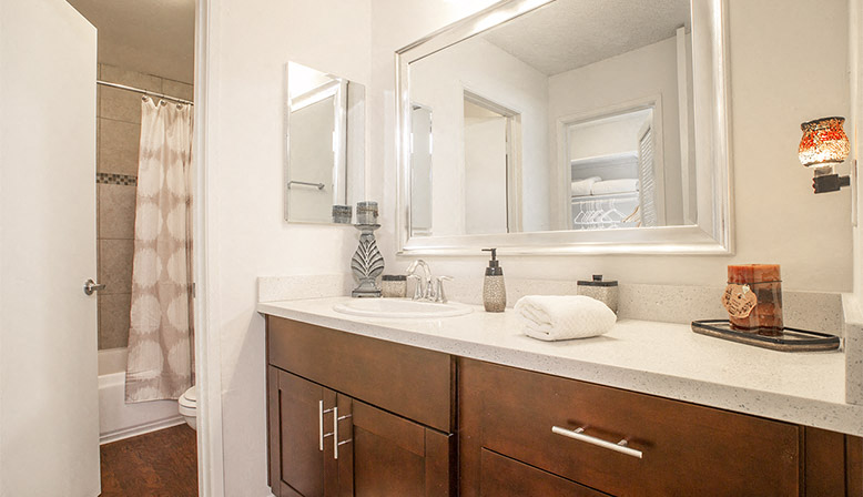 a bathroom with a sink and a mirror