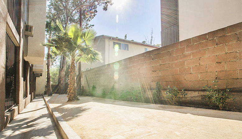 a courtyard with a brick wall and a palm tree
