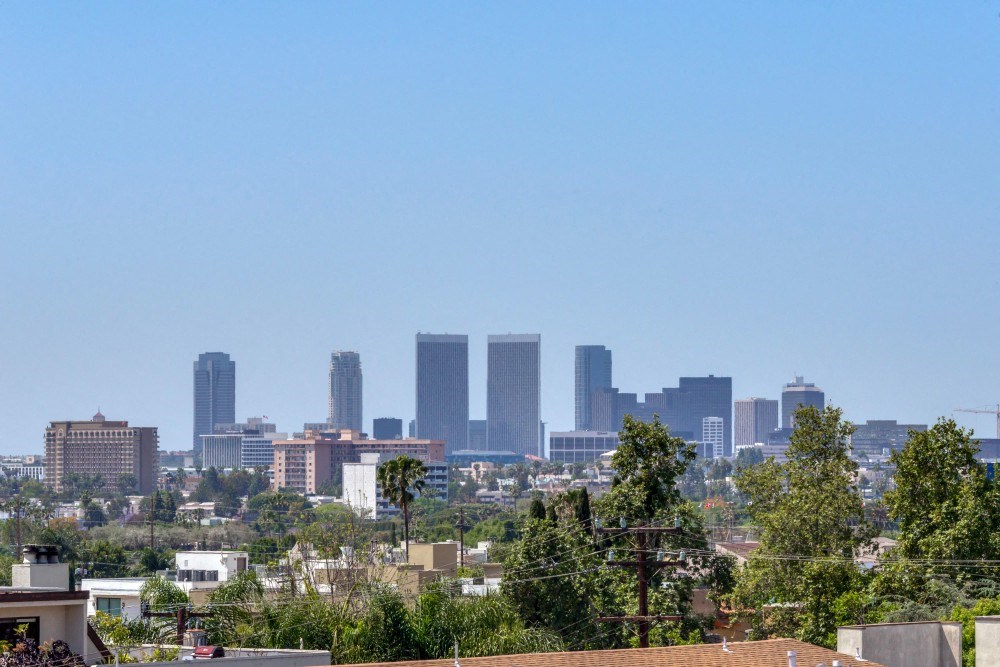 the skyline of the city with trees and buildings