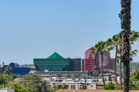 the city with palm trees and buildings