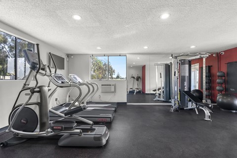 A gym with treadmills, elliptical machines, and other exercise equipment.