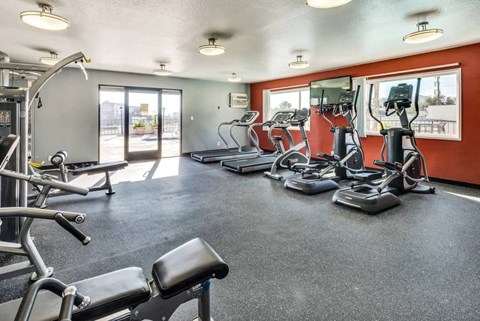 the gym is equipped with cardio equipment and weights