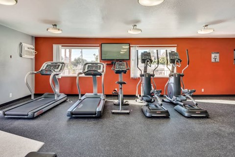 a gym with various cardio machines and a tv