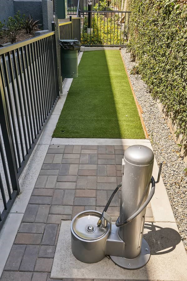 a small lawn with a watering can on the ground