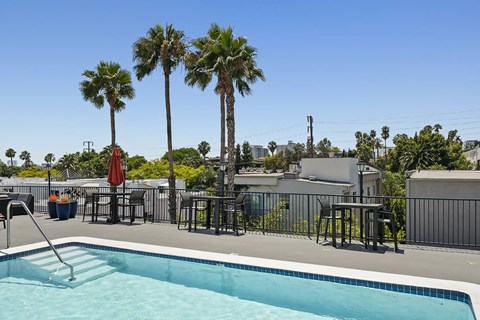 a swimming pool at a resort with palm trees
