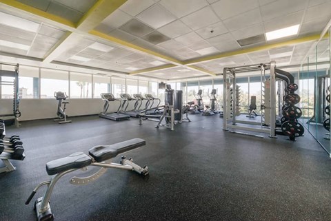 the gym is equipped with weights and other exercise equipment