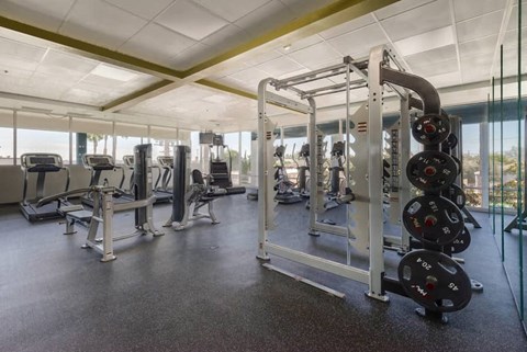 a gym with weights and other exercise equipment in a building